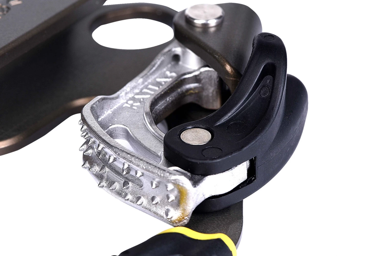 Vector Ascender 7 Vector Ascender - Image 7