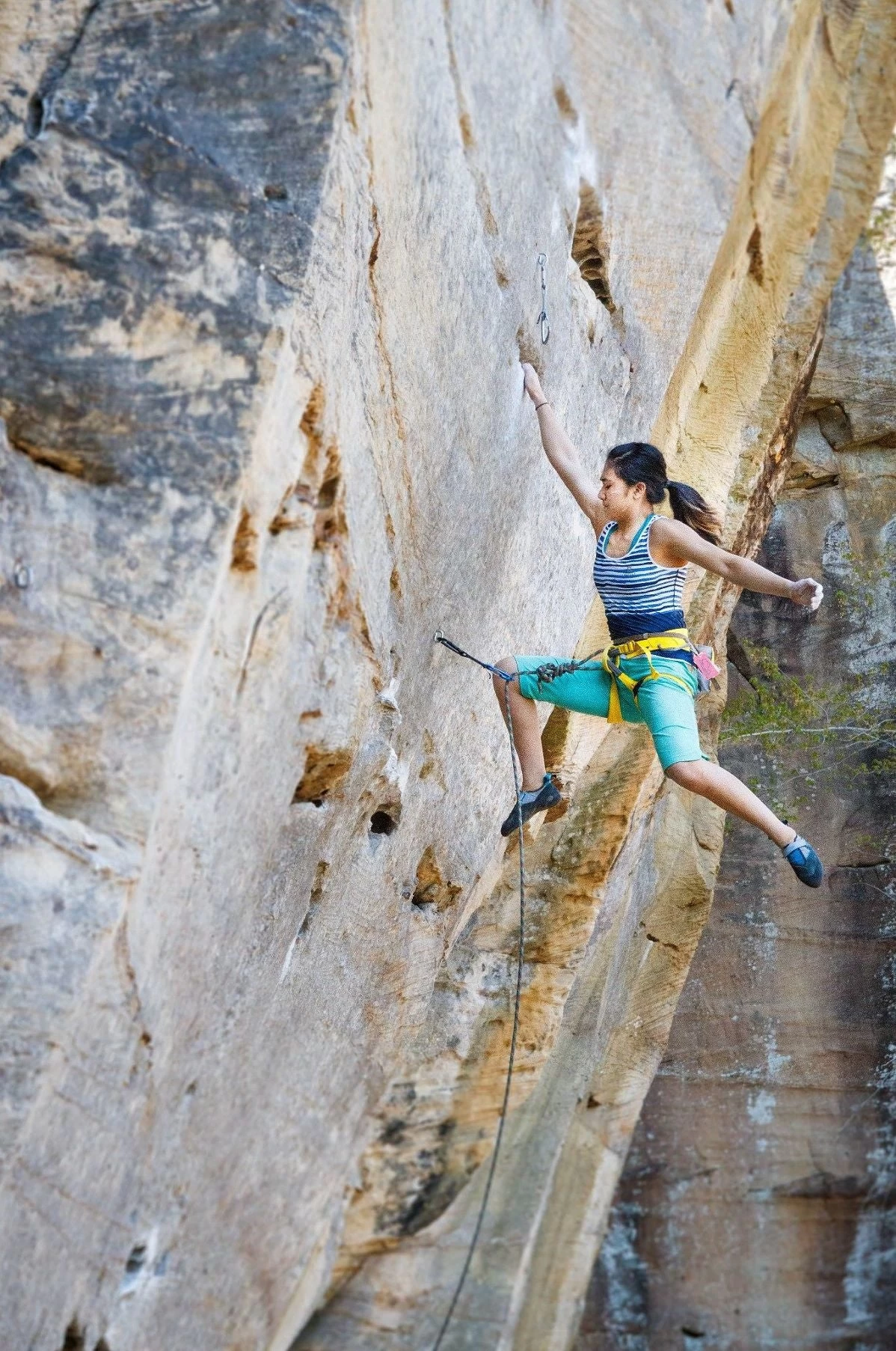 Airo Harness 15 Airo Harness - Image 15