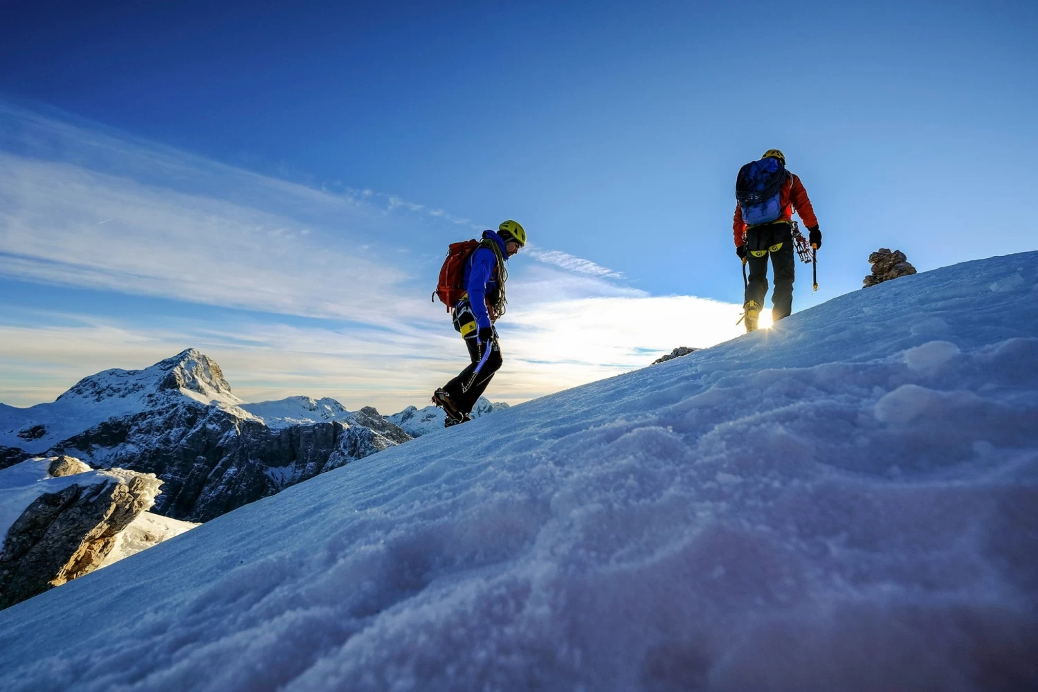 Airo Harness 12 Airo Harness - Image 12