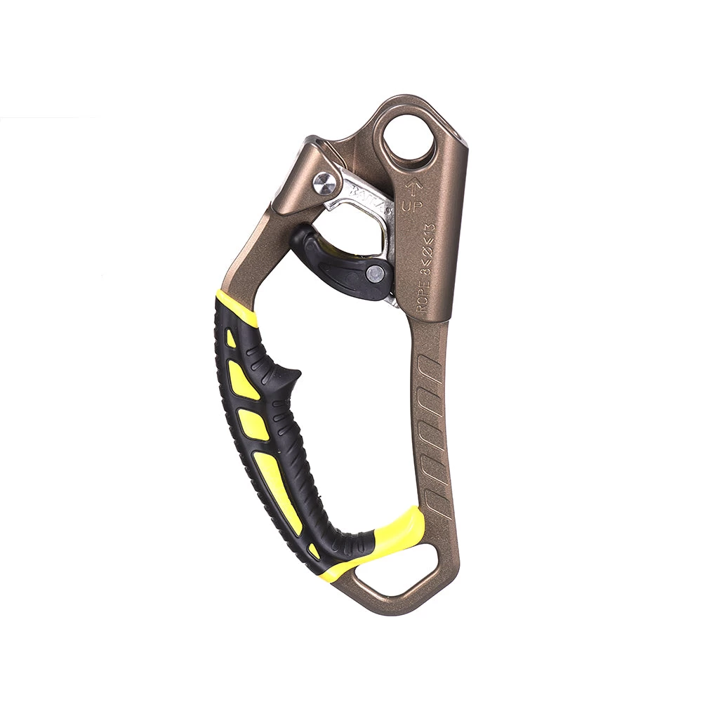 Vector Ascender 1 Vector Ascender